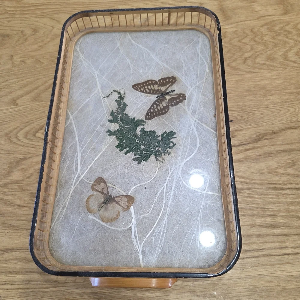 Vintage Butterfly and Fern Tray